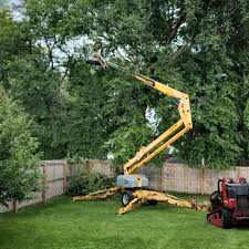 Best Tree Trimming and Pruning  in Blacksburg, VA